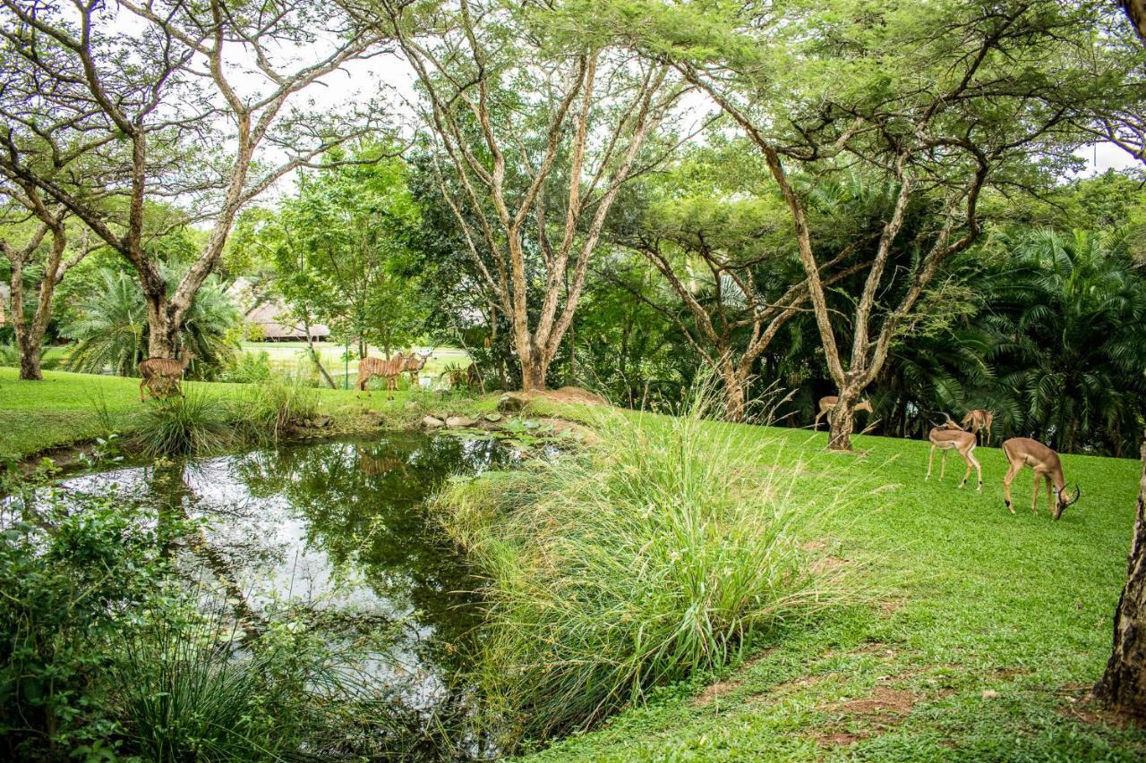 Inyamatane Luxury Lodge Hazyview Eksteriør bilde