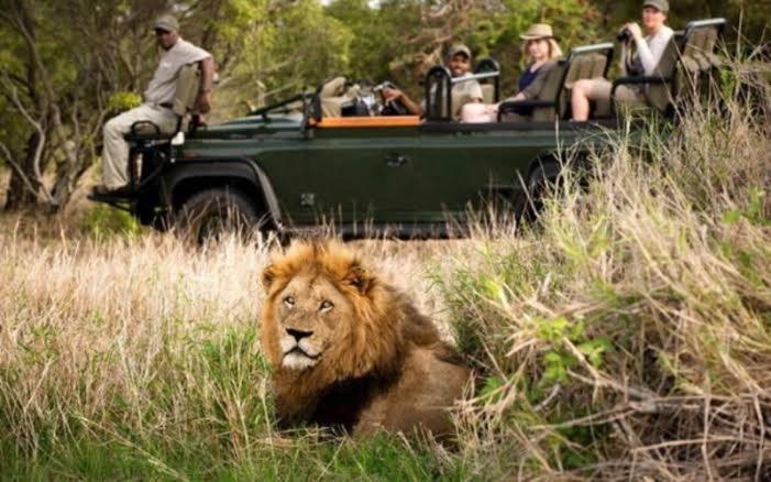 Inyamatane Luxury Lodge Hazyview Eksteriør bilde